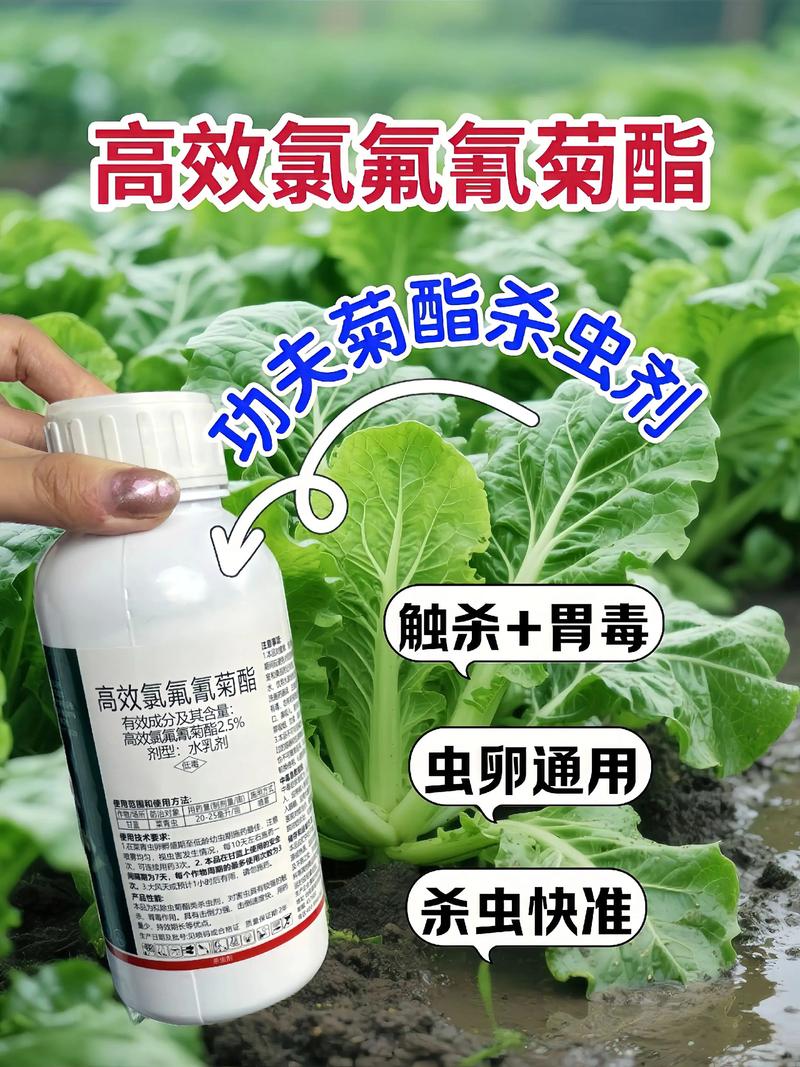 东营代生中心:农药对供卵代生妈妈的危害